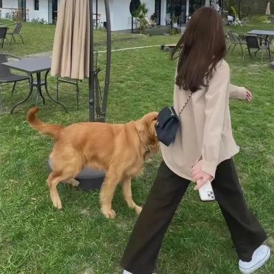 掌脸