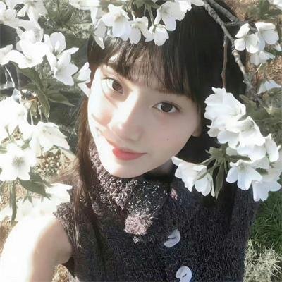 神秘女王蜂